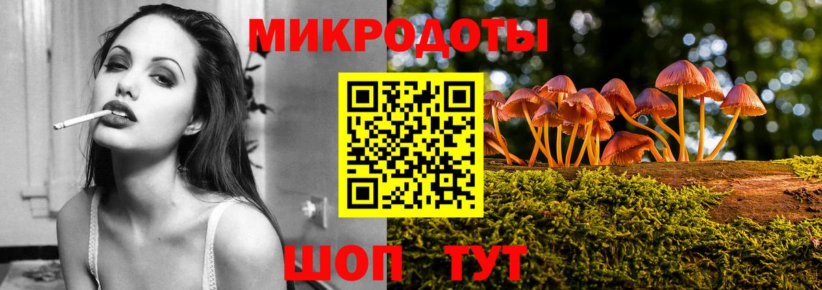Псилоцибиновые грибы Psilocybe  Вход с VPN  Ликино-Дулёво 